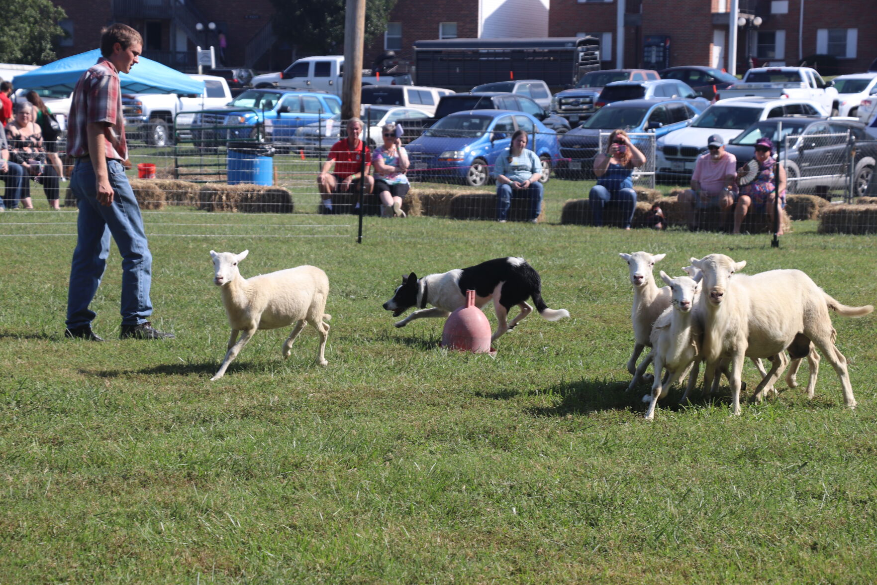 091022 Celtic Festival WKS 3.JPG